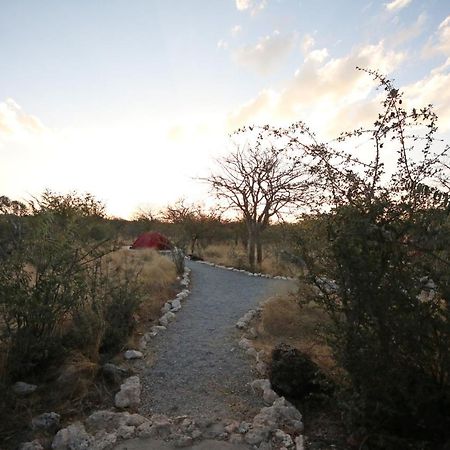 Etosha Village Campsite Okaukuejo Kültér fotó