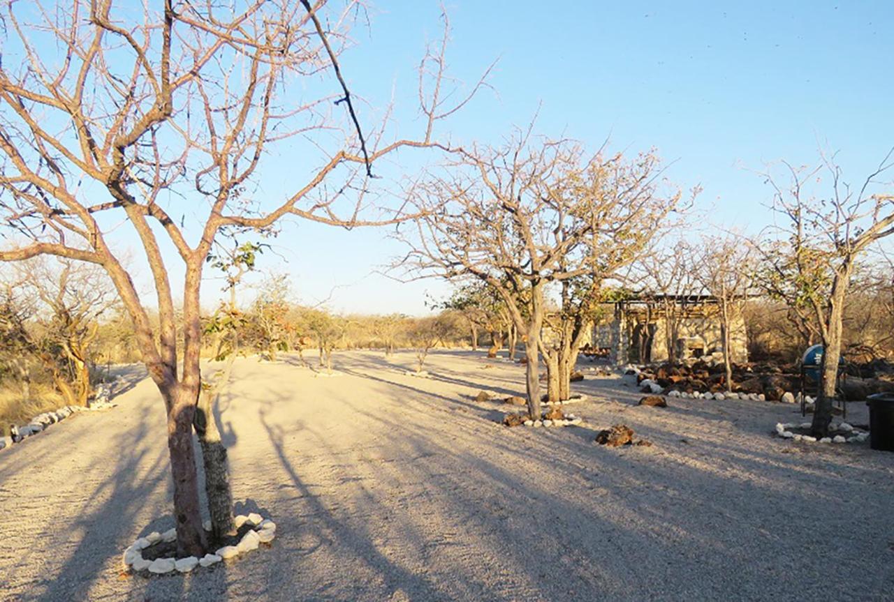 Etosha Village Campsite Okaukuejo Kültér fotó
