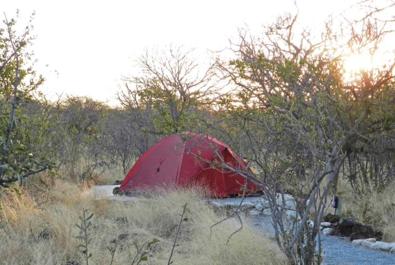 Etosha Village Campsite Okaukuejo Kültér fotó