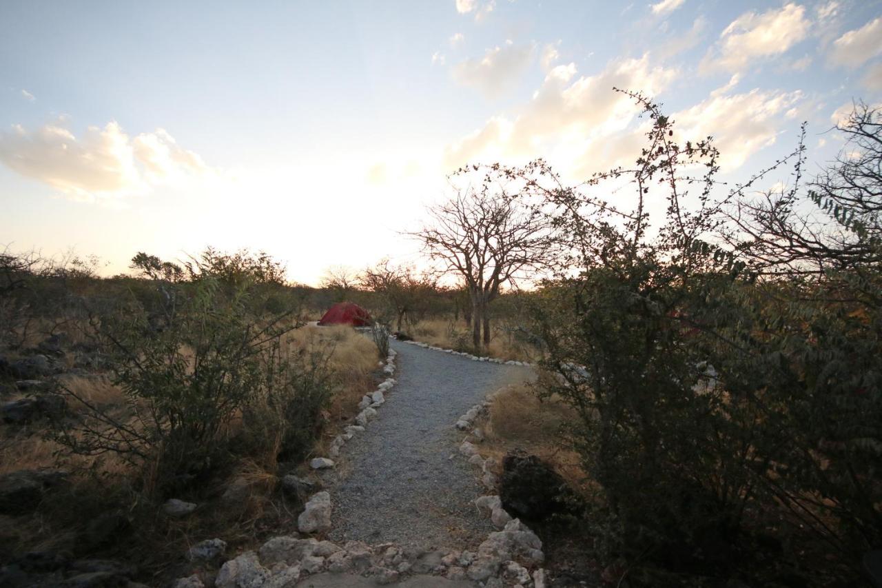 Etosha Village Campsite Okaukuejo Kültér fotó
